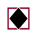 Black Diamond Group Limited logo