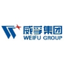 Weifu High-Technology Group Co., Ltd. logo