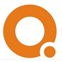 Luoyang Xinqianglian Slewing Bearing Co., Ltd. logo