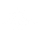 Beijing Dahao Technology Corp.,Ltd logo