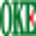 OKE Precision Cutting Tools Co., Ltd. logo