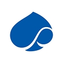 Capgemini SE logo