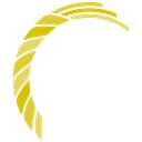 DSW Capital plc logo