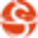 Shinelong Automotive Lightweight Application Limited logo