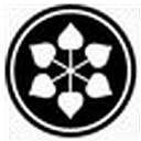 DCM Shriram Industries Limited logo