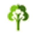 Dhunseri Investments Limited logo