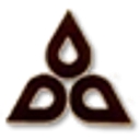Nelcast Limited logo