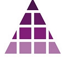 PODDAR PIGMENTS LTD. logo