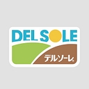 Delsole Corporation logo