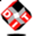 Digital Information Technologies Corporation logo