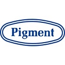 Nippon Pigment Holdings Company Limited logo