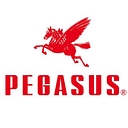 Pegasus Co., Ltd. logo