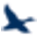 Chesapeake Financial Shares, Inc. logo