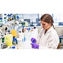 H. Lundbeck A/S logo